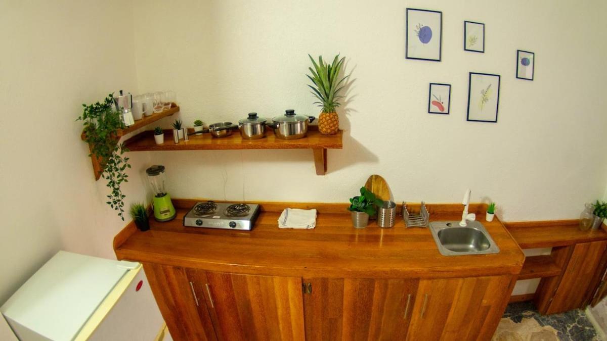 El Jardin Del Coco, Apartamento 14 - Near La Playita Beach Las Galeras Dış mekan fotoğraf
