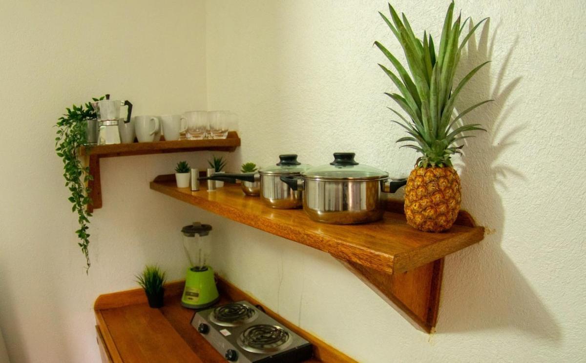 El Jardin Del Coco, Apartamento 14 - Near La Playita Beach Las Galeras Dış mekan fotoğraf