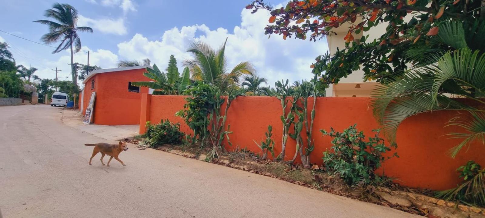 El Jardin Del Coco, Apartamento 14 - Near La Playita Beach Las Galeras Dış mekan fotoğraf